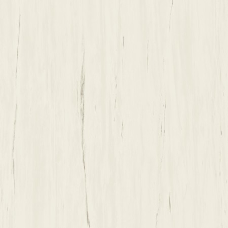 MARVEL STONE BIANCO DOLOMITE 120X120 LAPPATO