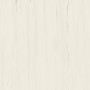 MARVEL STONE BIANCO DOLOMITE 120X120 LAPPATO