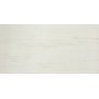 MARVEL STONE BIANCO DOLOMITE 75X150 POLISHED