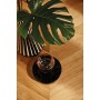 Parquet Prefinito Rovere Adagio Chevron A, Live Natural Oil, Spazzolato