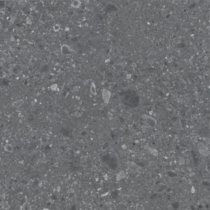 REALSTONE_CEPPO ANTRACITE R10 120X120 RECT.