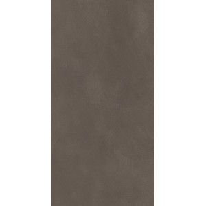 Essential Mood Warm Powd 03 9mm 60x120r Matt Natural