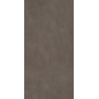 Essential Mood Warm Powd 03 9mm 60x120r Matt Naturale