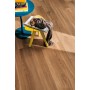 MIRAGE SIGNATURE HAVANA 20X120 RETT