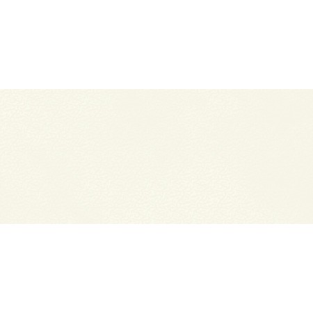 BOOST COLOR PURE FROG MATT 50X120 Rectified