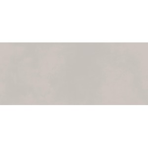 BOOST COLOR DOVE MATT 50X120 Rectified