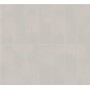 copy of BOOST COLOR PURE MATT 50X120 RETTIFICATO