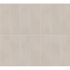 copy of BOOST COLOR PURE MATT 50X120 RETTIFICATO