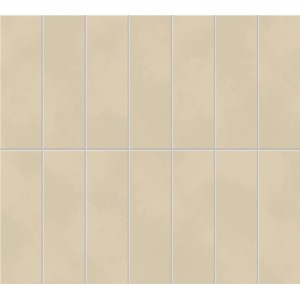 copy of BOOST COLOR PURE MATT 50X120 RETTIFICATO