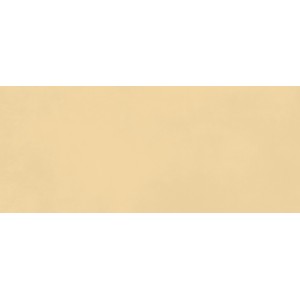 BOOST COLOR SUN MATT 50X120 Rectified