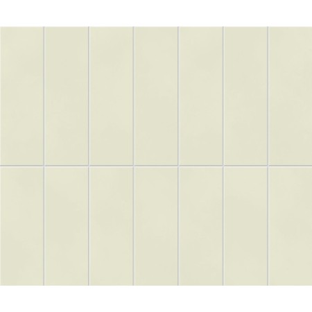 copy of BOOST COLOR PURE MATT 50X120 RETTIFICATO