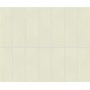 copy of BOOST COLOR PURE MATT 50X120 RETTIFICATO