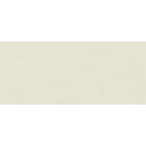 BOOST COLOR SALIX MATT 50X120 Rectified