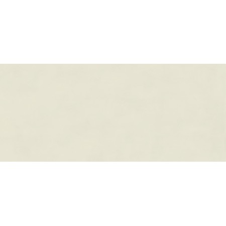 BOOST COLOR SALIX MATT 50X120 RETTIFICATO