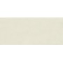 BOOST COLOR SALIX MATT 50X120 RETTIFICATO