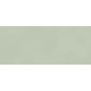 BOOST COLOR MINT MATT 50X120 Rectified