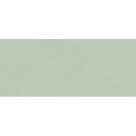 BOOST COLOR MINT MATT 50X120 RETTIFICATO