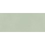 BOOST COLOR MINT MATT 50X120 RETTIFICATO