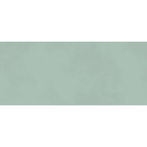 BOOST COLOR JADE MATT 50X120 Rectified