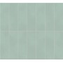 copy of BOOST COLOR PURE MATT 50X120 RETTIFICATO
