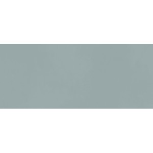 BOOST COLOR IRIS MATT 50X120 Rectified