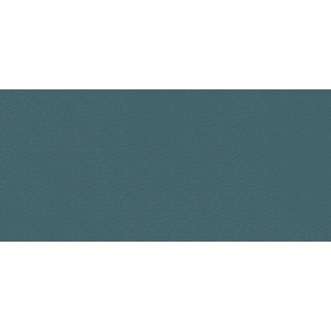 BOOST COLOR NAVY FROG MATT 50X120 Rectified