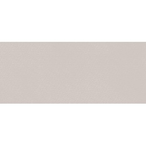 BOOST COLOR DOVE FROG MATT 50X120 RETTIFICATO