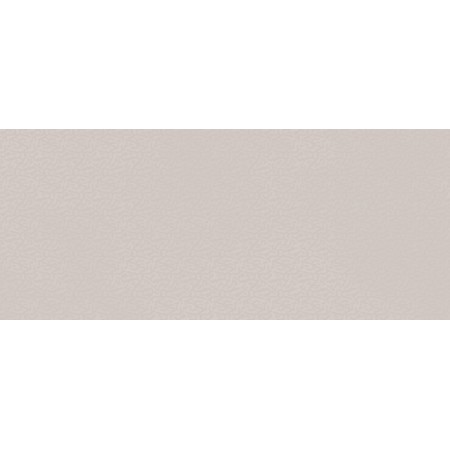 BOOST COLOR DOVE FROG MATT 50X120 RETTIFICATO