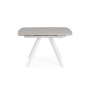 EXTENDABLE TABLE RAILI WHITE/GRAY C 119.5/180X85
