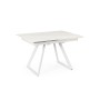 REETA EXTENDABLE TABLE WHITE/WHITE 120/180X90