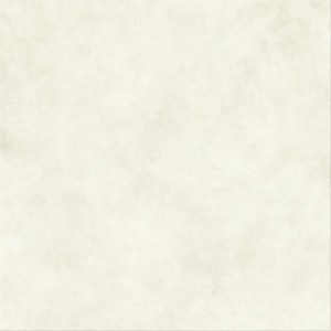 BOOST EXPRESSION GLOW MATT 120X120 Rectified