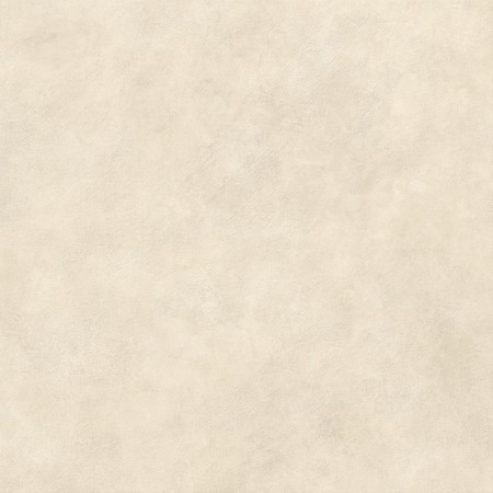 BOOST EXPRESSION SHELL OUTDOOR 60X60 RECTIFIED 20MM