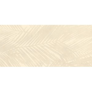 BOOST EXPRESSION SHELL LIFE 50X120 Rectified