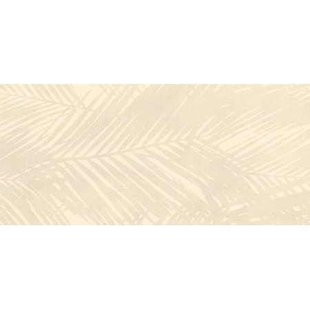 BOOST EXPRESSION SHELL LIFE 50X120 Rectified