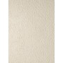 BOOST EXPRESSION GRAIN SHELL 50X120 RETTIFICATO