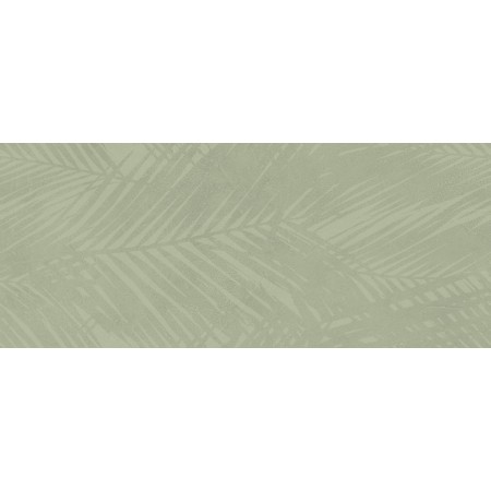 BOOST EXPRESSION OLIVE LIFE 50X120 Rectified