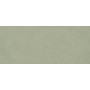 BOOST EXPRESSION OLIVE MATT 50X120 RETTIFICATO