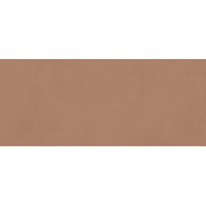 BOOST EXPRESSION SIENNA MATT 50X120 Rectified