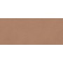 BOOST EXPRESSION SIENNA MATT 50X120 RETTIFICATO