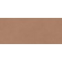 BOOST EXPRESSION SIENNA MATT 50X120 RETTIFICATO