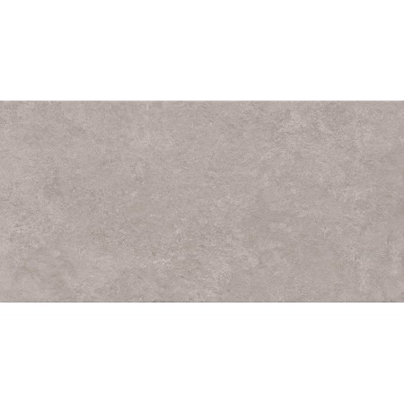 Naturalis 600x1200 Greige 8,5
