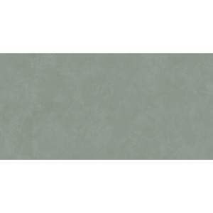INSIDEART COLOR ALOE SOFT 60X120 RETTIFICATO