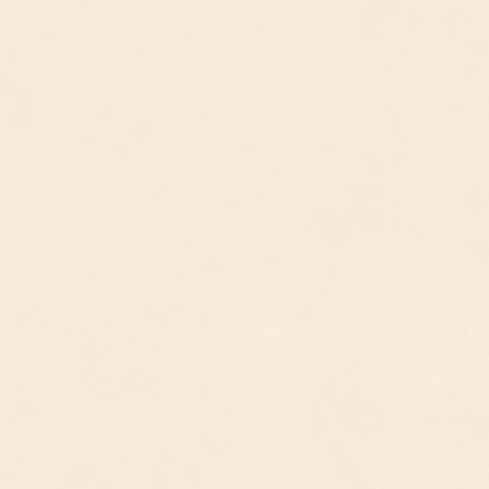 INSIDEART COLOR LIGHT NAT. 60x60 Rectified