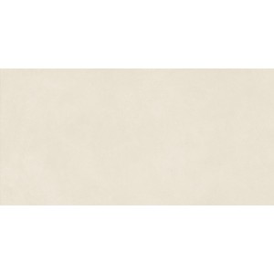 BOOST NATURAL PRO SALT 30X60 Rectified