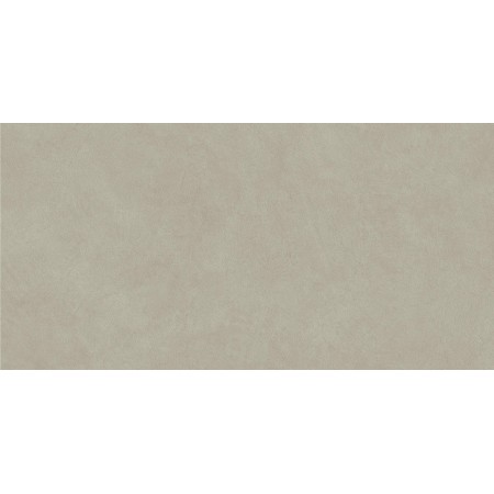 BOOST NATURAL PRO DOVE 30X60 Rectified