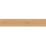 ENTICE PALE OAK NATURAL 20x120 RETT.