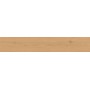 ENTICE PALE OAK NATURAL 20x120 RETT.