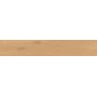 ENTICE PALE OAK NATURAL GRIP 20x120 RETT.