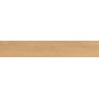 ENTICE PALE OAK NATURAL GRIP 20x120 RETT.