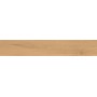 ENTICE PALE OAK NATURAL GRIP 20x120 RETT.
